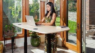 MojoDesk - Adjustable Standing Desk & Sit Stand Workstation