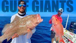 Anna Maria Island, Florida - GROUPER SNAPPER GULF (Fishing With Salty)