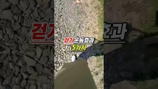 초보도 가능한 걷기운동효과 5가지