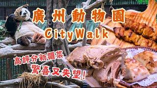 廣州動物園Citywalk丨抵到爛‼️20蚊打卡動物明星大熊貓星一雅一附參觀時間&攻略丨同場加映水蔭路必行景點️十九路軍陵園、楠楓書院丨開箱高評分網紅新疆菜薩蘭德丨#廣州 #旅遊攻略