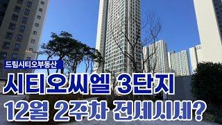 12월2주차 주간브리핑) 시티오씨엘3단지 전/월세 빨리찾아드립니다. 적극조율!빠른상담 대표: 함현숙 010-2750-5073