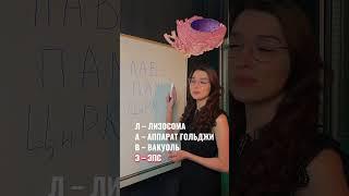 как запомнить строение клетки! #биология #огэ #репетитор #интересно #огэ_биология