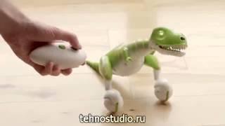 Интерактивная игрушка Spin Master Zoomer Dino Дино Зуммер эволюц