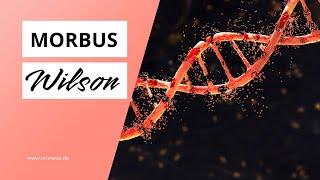 Morbus Wilson: Symptome & Therapie