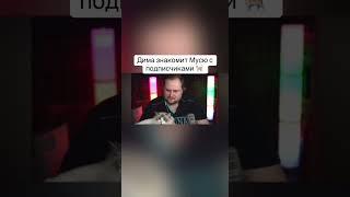 Куплинов показал кошку