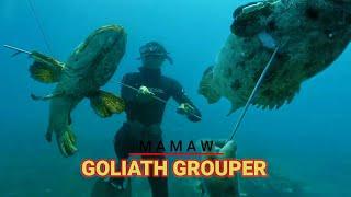 Top 10 Giant Grouper COMPILATION | Intense and Dangerous way of catching Giant Grouper