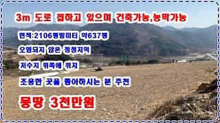 [급매] 3미터 도로접하고 건축가능하며 농막도 가능한 땅 637평 3천만원에 모십니다