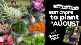 Best Seed Crops to Plant in August!