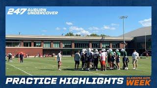 Auburn football practice highlights | Alabama A&M week