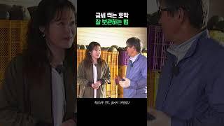 호박 보관을 위해 필요한 세 가지는?