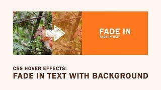 CSS Image Hover Effects | Fade in Text with Background