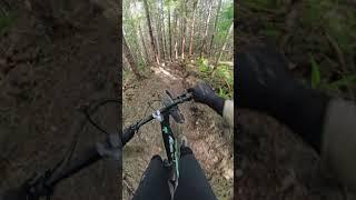 When the trail is so good you randomly yell out SICK and NICE!