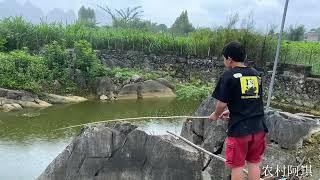 钓鱼：一下竿就连连上鱼，钓完鱼又抓鸡，小屁孩这次乐坏了 钓鱼