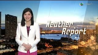 《 香港女主播 》〖TVB Anchor：Bobo Ho賀子欣〗《 Charming WhiteBoBo》【明珠台。天氣報告 The WeatherReport】2025年1月22日