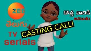 zee telugu tv serial requirement జీ తెలుగు టీవీ సీరియల్ లో అవకాశం casting call video 196