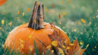 Peaceful music, Relaxing music, Instrumental music, Autumn Nature "Harvest Moon" Tim Janis