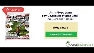 Средство для Борьбы с Садовыми Муравьями на Грядках и в Теплицах. Антимуравьин