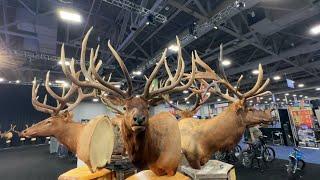 THE BIGGEST BULLS AT HUNT EXPO