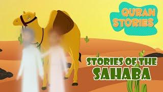 Sahaba Stories | Stories from the Quran | Islamic Stories | Ramadan Lessons | #islamicvideo #quran