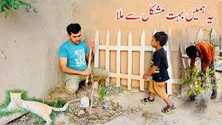 Ye Hamain boht mushkil say Mela | Village Lifestyle | Shoaib Maharzada