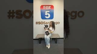 MY DOG & I MADE THE NEWS!!!  #sandiego #padres #dogs