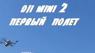 Первый запуск квадрокоптера DJI mini 2