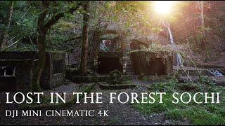 Lost in the forest Sochi   DJI Mini Cinematic 4K