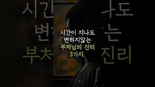 #불교명언 #긍정적마인드 #좋은글 #명언