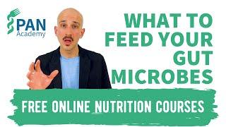 What to feed your gut microbes for optimal health | PAN Academy | Free Online Nutrition Courses