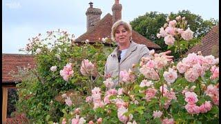 Gardening at home with Sarah | The Rose Garden in June