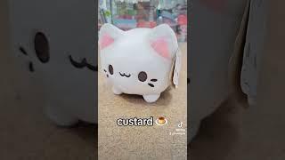 Meet the Meowchis Part 2!