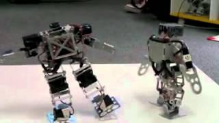 Amazing Robot Fight, Final League Game - Robots Dominate World!