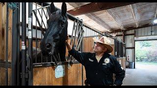 New York equine therapy program helps veterans heal