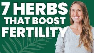 Best Herbal Supplements for Fertility  Trying to Conceive