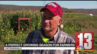 Pattersonville farmer says growing season was nearly perfect