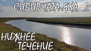 Сибирчата Яха. Нижнее течение. Протока Латаюн. Сплав. Пятая часть четвертого этапа.