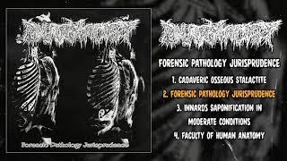 Pharmacist - Forensic Pathology Jurisprudence FULL EP (2020 -  Goregrind / Death Metal)