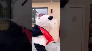 White panda  #funny