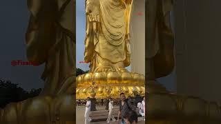 南无阿弥陀佛Ná mó ēmítuófó  Gautam Buddha  Mahatma Buddha  namo Amitabha Buddha  {{{FizaRay}}}