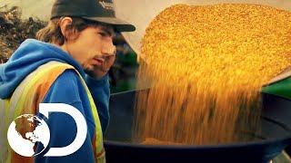 Los desafíos y las recompensas de la minería | Fiebre de Oro | Discovery Latinoamérica