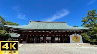 【Kashihara Shrine, Nara.】walk along the approach to the temple