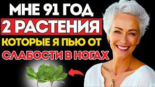 Это Единственные 2 Растения, Которые Борются С Слабостью В Ногах В Пожилом Возрасте!