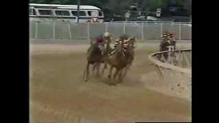 Affirmed vs. Alydar - 1978 Preakness Stakes