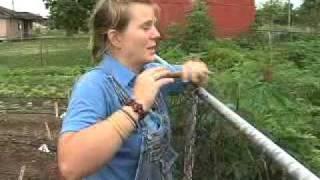 LOUISIANA FARM BUREAU: URBAN FARMING