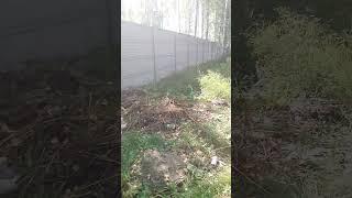 Просто словами не выразить от души.