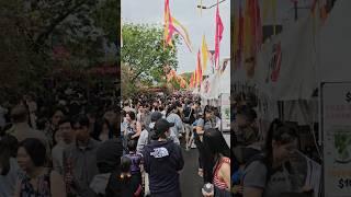 Cabramatta Moon Festival, Sydney Australia 