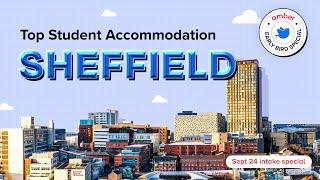 Top Student Accommodations in Sheffield, UK | Early Booking Advantage | amber