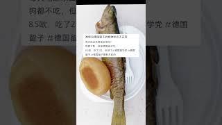 在德国的留学生吐槽：每天吃这东西能正常吗?