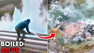 15 Most Terrible Incidents in Yellowstone National Park