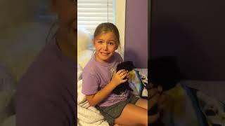 Little girl moment of tears after a kitten surprised#happygirl#shorts#furrycompanion#surprisedkitty